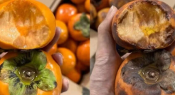 用AI假图骗“仅退款”，今年双11最脏的一幕出现了！