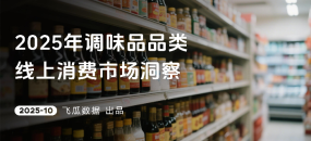 2025年调味品品类线上消费市场洞察