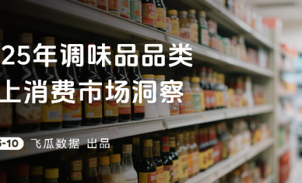 2025年调味品品类线上消费市场洞察
