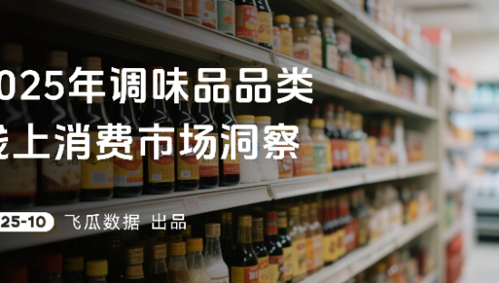 2025年调味品品类线上消费市场洞察