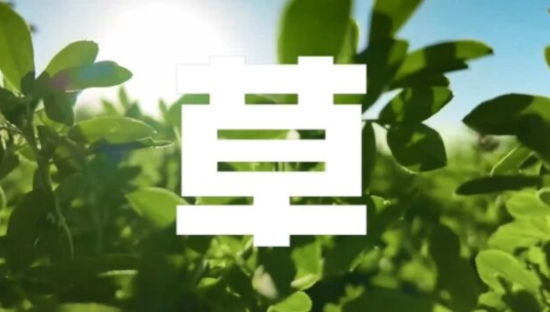 一周案例：伊利×张兴朝魔性广告笑疯，美团推出“骑手委屈关怀计划”......