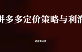 拼多多定价策略与利润