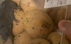 山姆“老鼠门”大反转，900万会员破防了