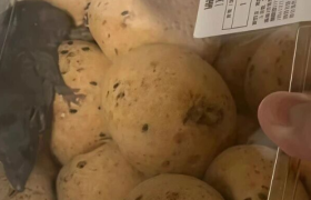 山姆“老鼠门”大反转，900万会员破防了