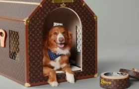 50万的LV狗窝，骂得真脏……