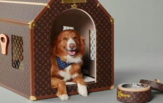 50万的LV狗窝，骂得真脏……