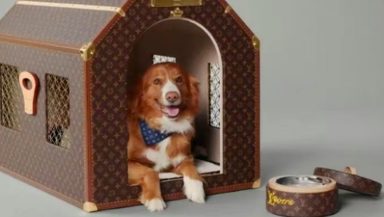 50万的LV狗窝，骂得真脏……