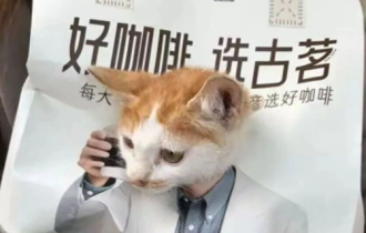古茗“霸总猫猫”爆火！抢吴彦祖风头？