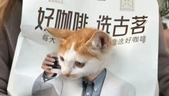 古茗“霸总猫猫”爆火！抢吴彦祖风头？