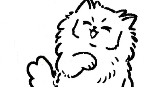 一张小票封神！茉莉奶白靠“猫言猫语”成为顶流