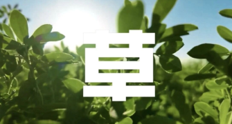 00后主理核心项目？看伊利年轻化的破局之道