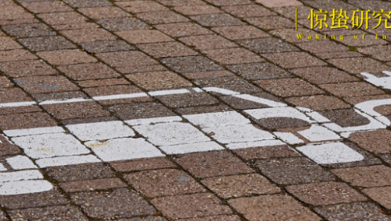 新能源汽车出海2.0：从“卖车”到“建生态”