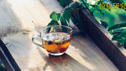 老外集体“精中”：文化回流背后的出海新逻辑