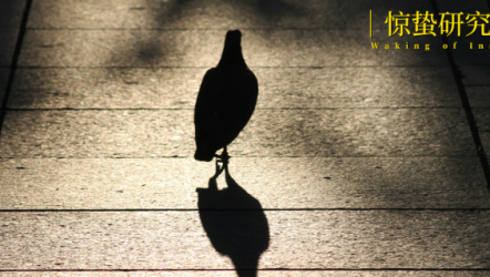 一线访谈 | 一千米，是我和导弹的距离