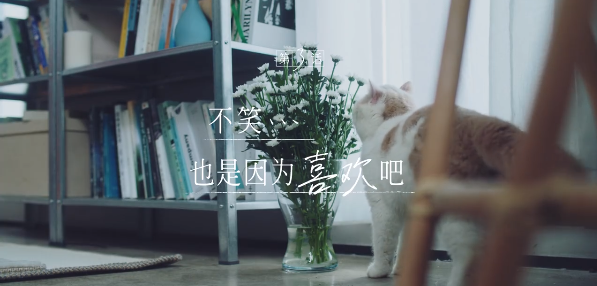 韩束与檀健次，「恋爱梗」的浪漫有点治愈！