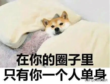 25句情人节单身文案，句句人间清醒
