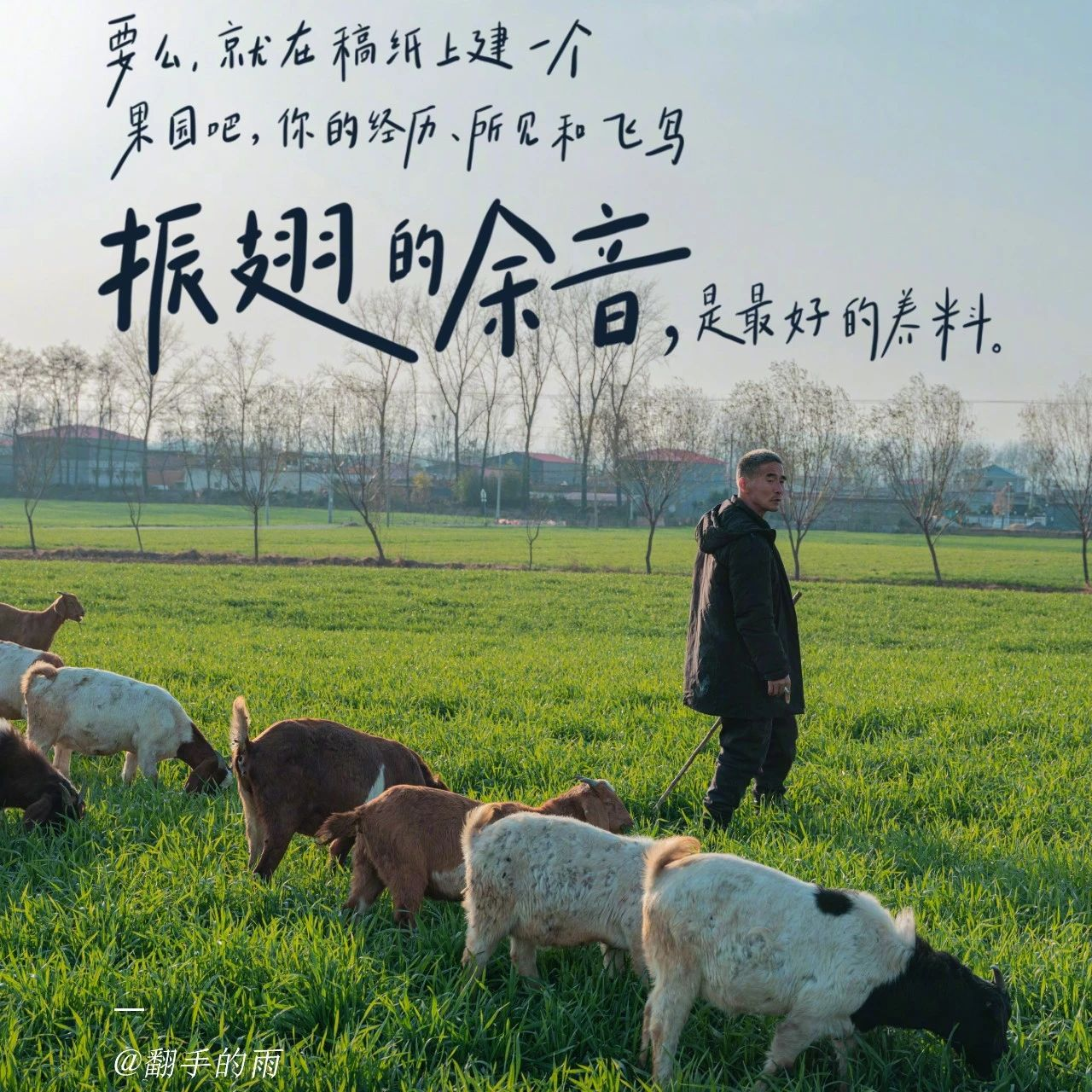 快手推出春日诗集，文案超治愈！