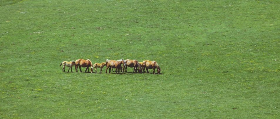 美团这组创意文案，来自40年前