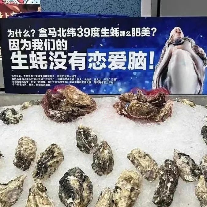 孟宴臣治不好的恋爱脑，盒马文案治好了！