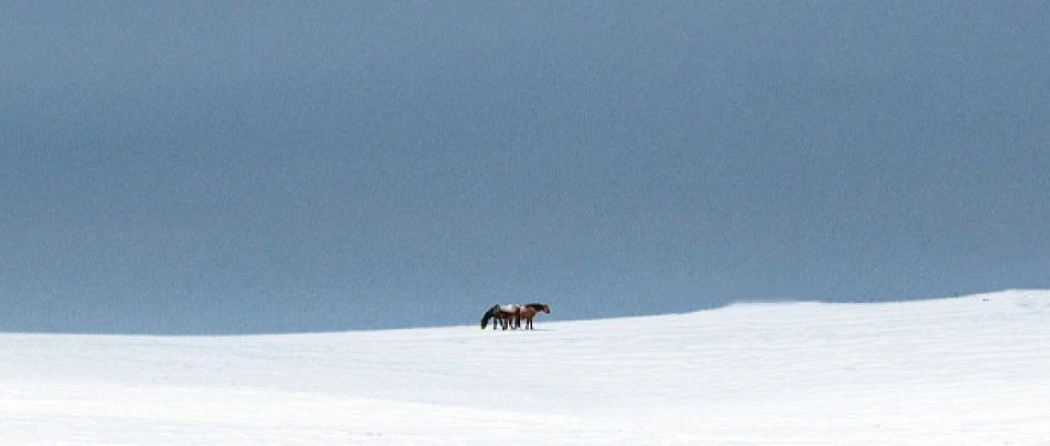 10句七夕节文案，创意很绝