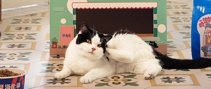 萌宠流量+粉丝经济，海伦司更懂用户喜好