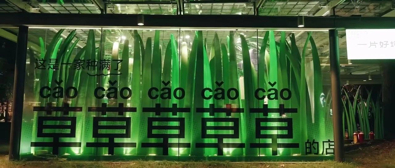 谁懂啊，天猫的种草营销，是真的在种草