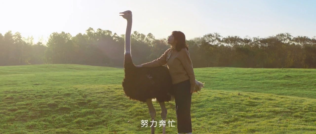 雀巢咖啡“年末特别提醒”突围而出，以“不疯忙”的生活鼓舞人心