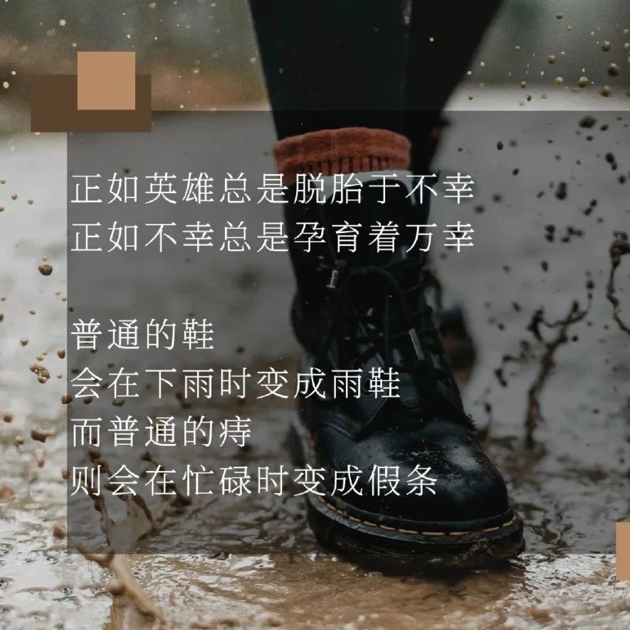 肛泰的「痔疮文学」，杜蕾斯都甘拜下风