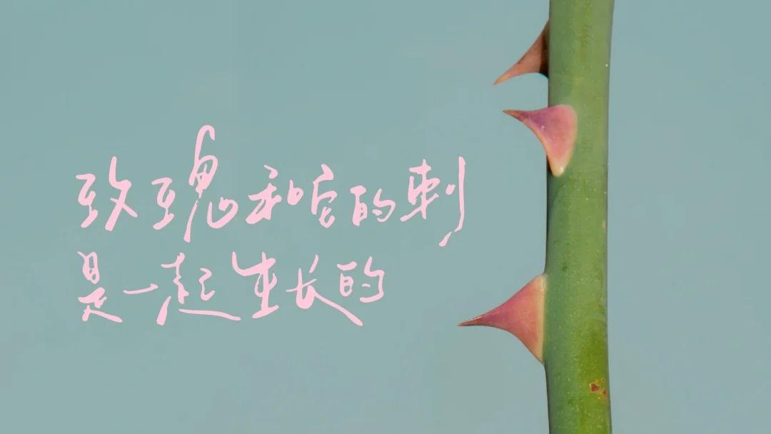 混果汁妇女节，给女性寄了6封情书