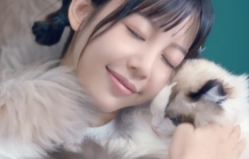 森马上线“猫片”：寒冷时，就向猫咪借点温暖吧