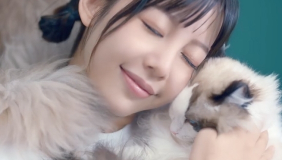 森马上线“猫片”：寒冷时，就向猫咪借点温暖吧