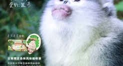 永璞咖啡×蚂蚁森林给滇金丝猴办了一场相亲大会