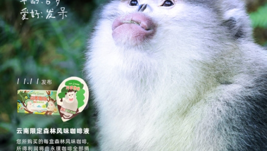 永璞咖啡×蚂蚁森林给滇金丝猴办了一场相亲大会