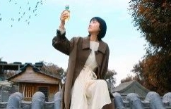 东方树叶把四季拍成了诗，氛围感拉满！