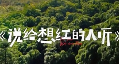 小红书 X 张震岳说了一段话，给想红的人听