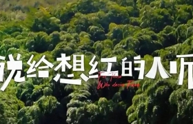 小红书 X 张震岳说了一段话，给想红的人听