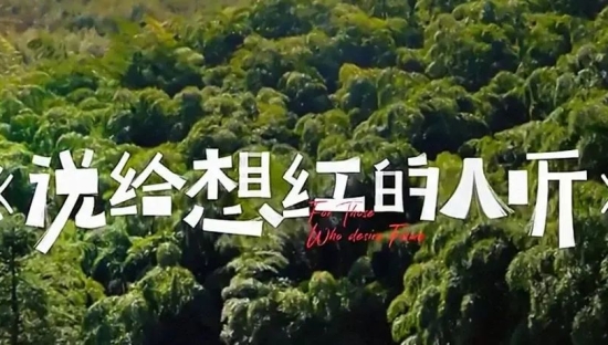 小红书 X 张震岳说了一段话，给想红的人听