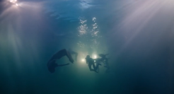 皮卡广告居然如此浪漫诗意？福特水下大片，想不到！