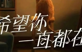 聚焦人宠关系，卫仕借势萌宠经济花式玩转差异化营销