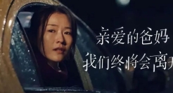 春节后第一支让我破防的广告片