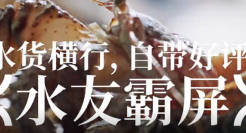 《风味人间》第三季：用鲜活的方式讲鲜活的故事