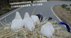 卤味觉醒首支品牌TVC，把鸡拍得很高级