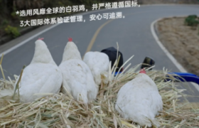 卤味觉醒首支品牌TVC，把鸡拍得很高级