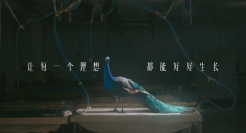 终于有品牌，敢拍这样的三八节广告了