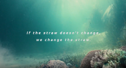 这么会讲“故事”的它，竟然是支环保片！