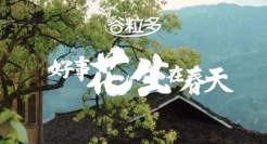 谷粒多一段春日文案，饱含希冀