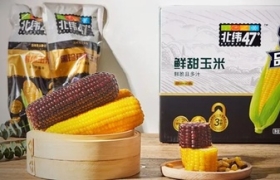 上市仅半年斩获双料国际美食大奖，北纬47度掀起绿色食品风