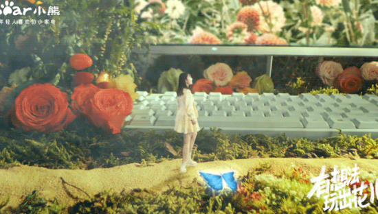 小熊电器：熊大孩子，能折腾出什么花儿？