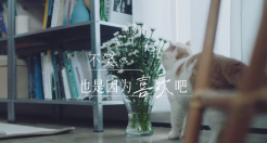 韩束与檀健次，「恋爱梗」的浪漫有点治愈！