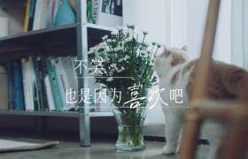 韩束与檀健次，「恋爱梗」的浪漫有点治愈！